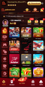 paknew game look image