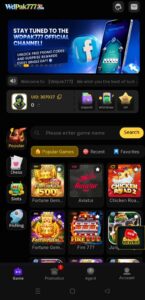 wdpak777 game inner interface