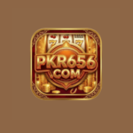 pkr656 game logo